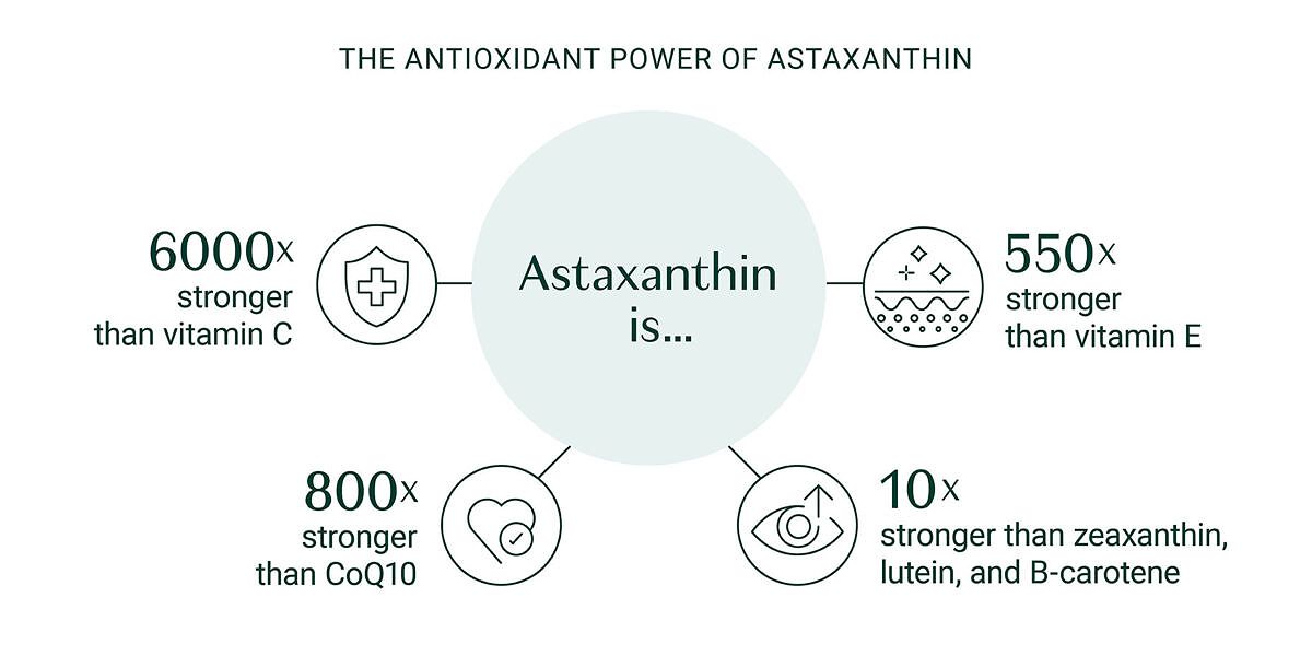 Astaxanthin antioxidant